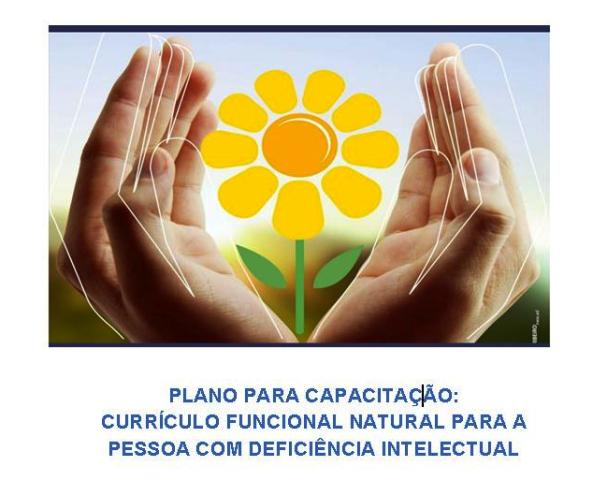 FEAPAES-SC promove capacitação em Currículo Funcional Natural