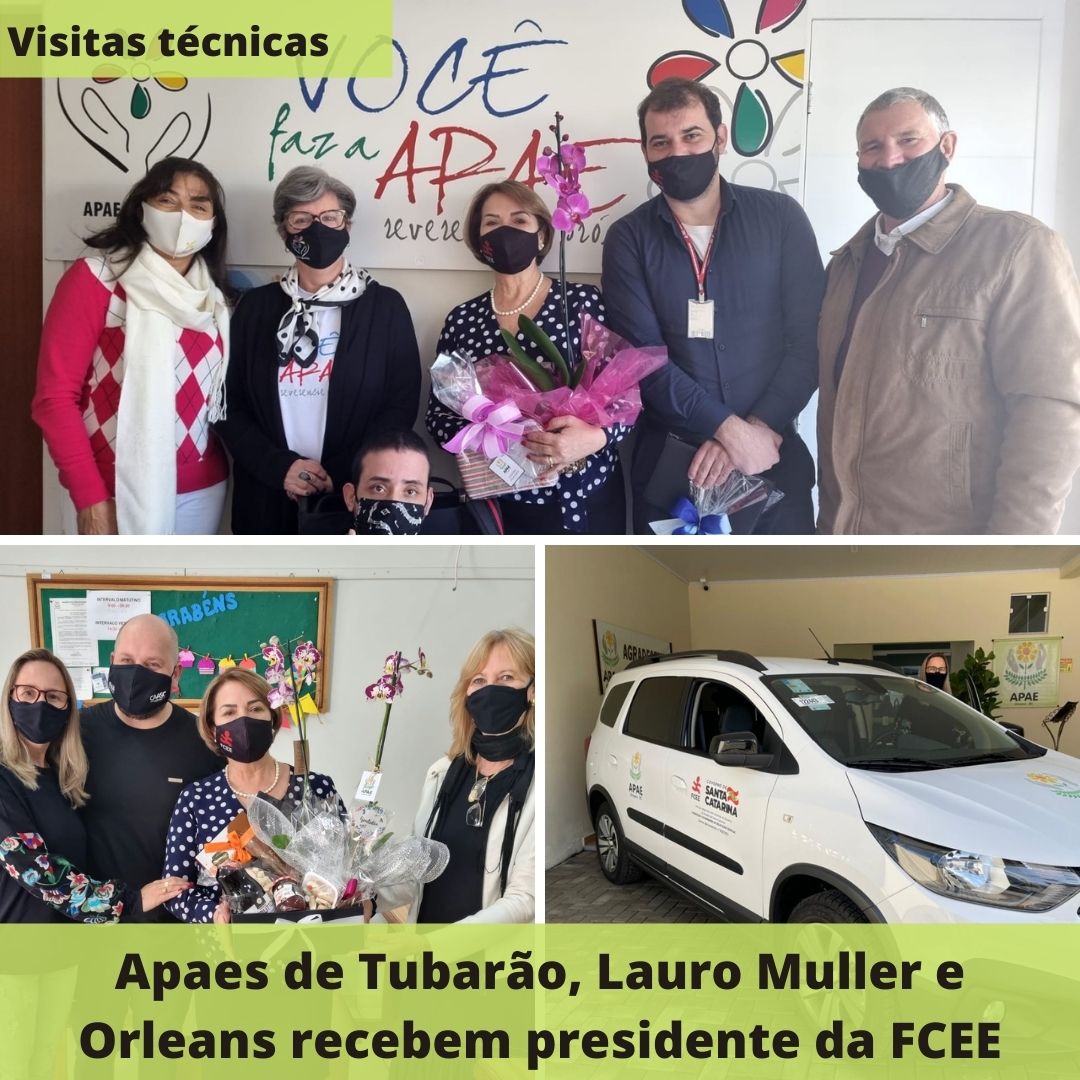 Foto montagem com 3 imagens, duas delas com pessoas posando para foto, sorrindo com flores nas mãos, e foto de um carro branco com logo da FCEE. Texto: Visitas técnicas - 